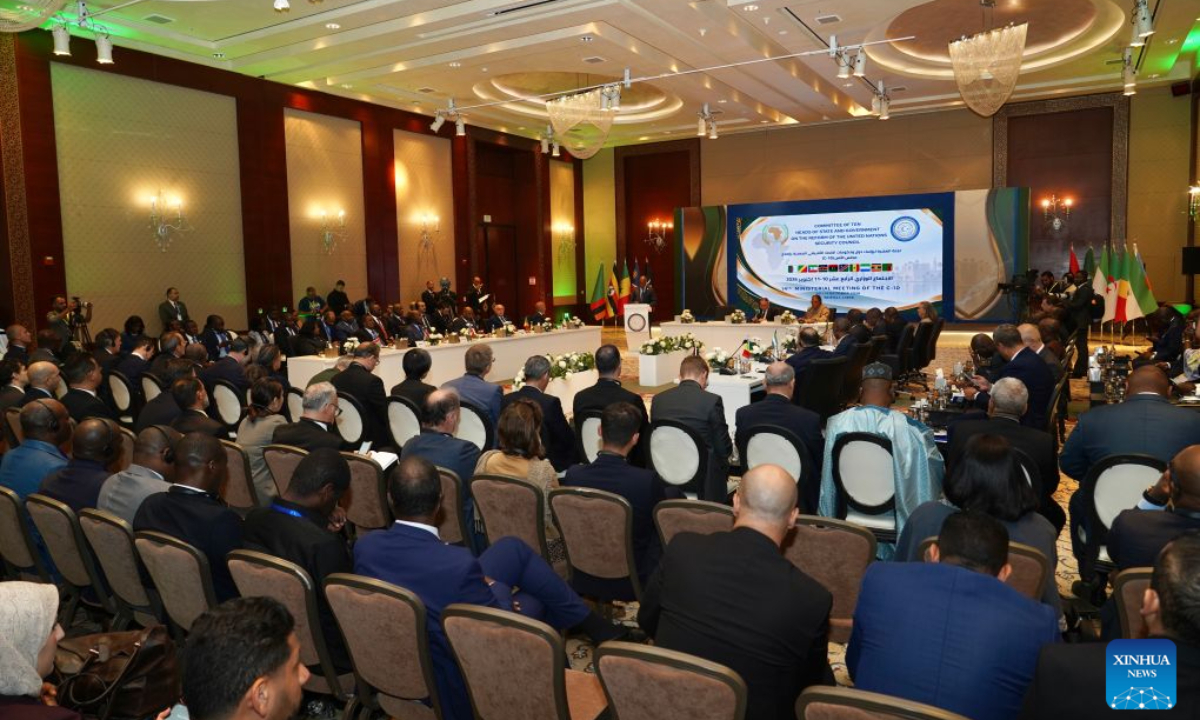 Libya hosts African meeting on UN Security Council reform